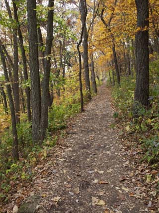 Trail to Great Bear and Little Bear Mound, Effigy Mounds National Monument, Iowa, USA