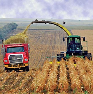 Iowa corn harvest