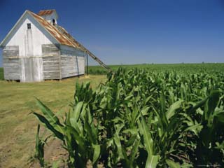 Corn Barn, Hudson, Illinois, Mid West, USA