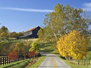 Rural Road Through Bluegrass in Autumn Near Lexington, Kentucky, USA