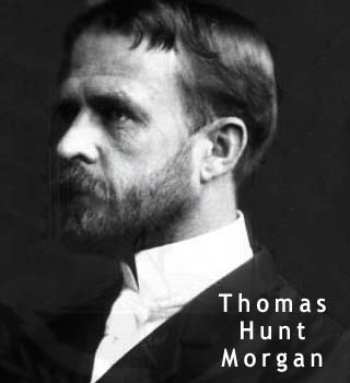thomas hunt morgan
