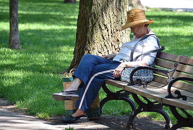 bench lady