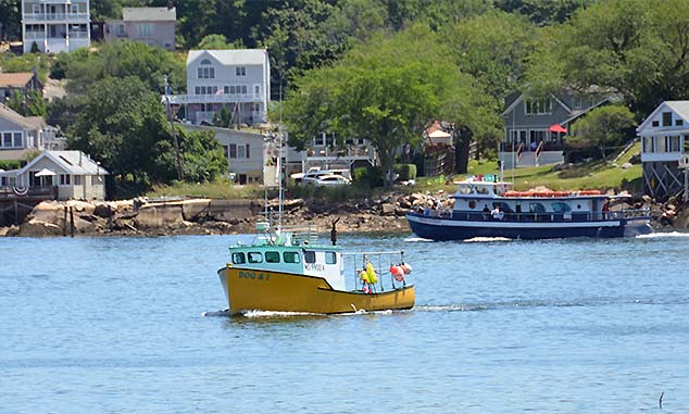 gloucester harbor view