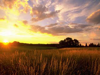 Sunset Over Salt Marsh, Essex, MA