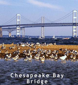 chesapeake bay bridge