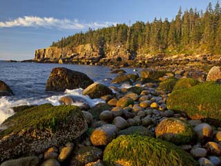 Polished Rocks at Otter Cliffs, Acadia National Park, Maine, USA