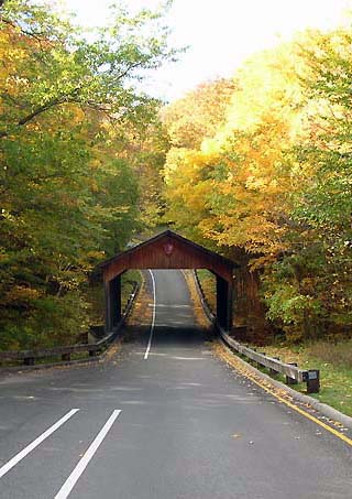 fall in michigan