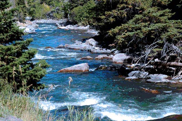 montana stream