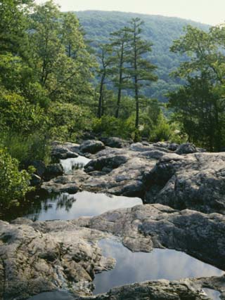 Pools on Mina Sauk Creek, Tom Sauk Mountain, Mark Twain National Forest, Missouri, USA