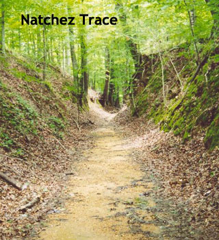Natchez Trace