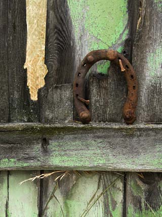 Rusty Horseshoe on Old Fence, Montana, USA