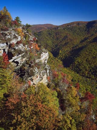 Early Autumn View of Linville Gorge