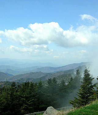 mt mitchell