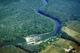 cape fear river