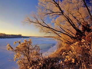 Winter on the Yellowstone River Near Cartwright, North Dakota, USA