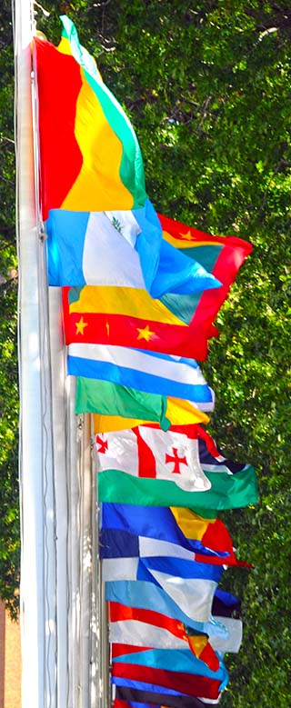 flags at the un