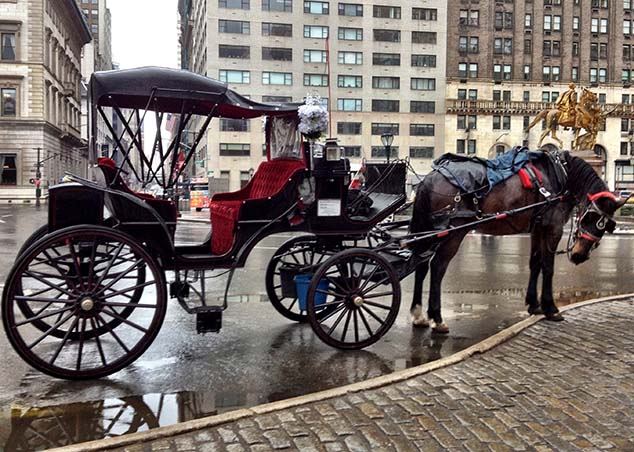 horse carriage new york city