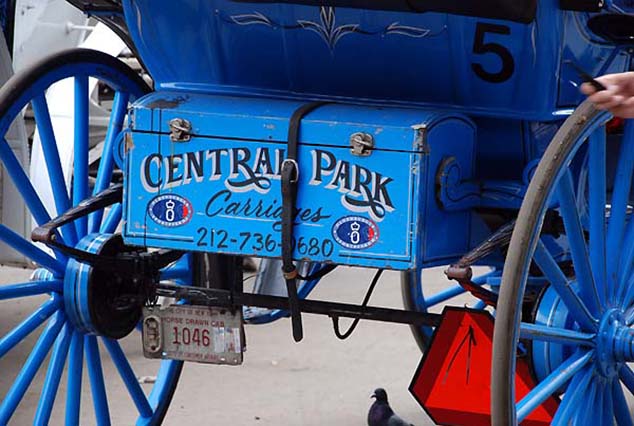 central park carriage ride