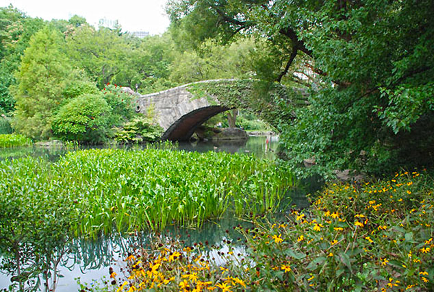 central park new york