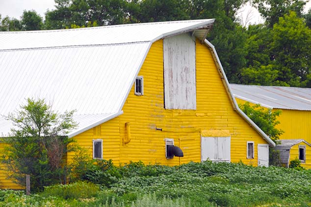 yellow barn north dakota