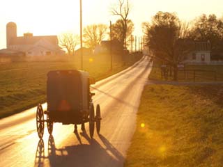 Horse and Buggy in Amish Community