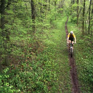 Mountain Biker on the Erie Canal Trail, Defiance, Ohio, USA