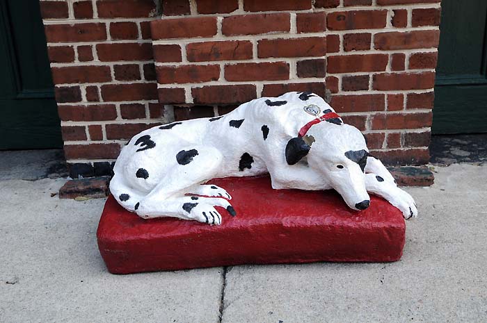 fire house dog charleston south carolina
