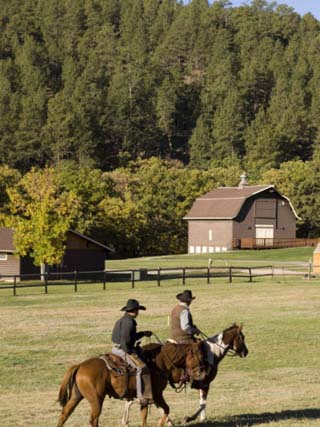 Custer State Park, Black Hills, South Dakota, United States of America, North America