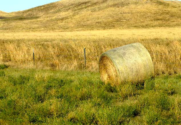 bale of hay south dakota