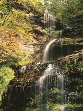View of Cathedral Falls in Autumn, West Virginia, USA