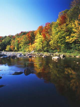 Autumn Trees Reflected in Deerfield River, Vermont, USA