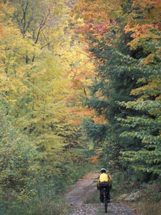 Mountain Biking on Old Logging Road of Rice Hill, Green Mountains, Vermont, USA