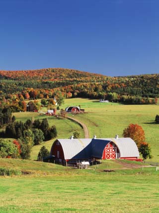 Barnet, View of Farm in Autumn, Northeast Kingdom, Vermont, USA