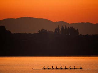 Silhouette of Men's Eights Rowing Team in Action, Vancouver Lake, Washington, USA