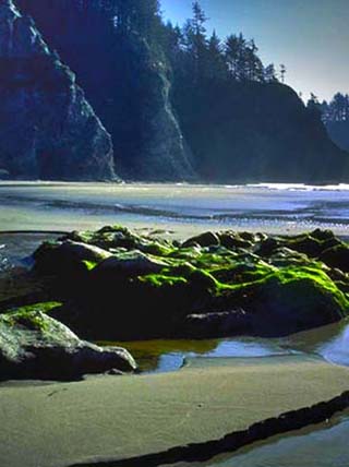 washington coastline