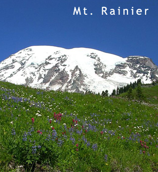 mt rainier