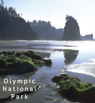 olympic national park