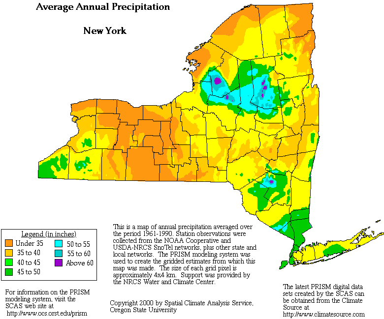 New York Precipitation Map
