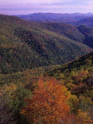 Otter Creek Wilderness from Table Rock, Monongahela National Forest, West Virginia, USA