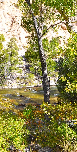 creek view wyoming