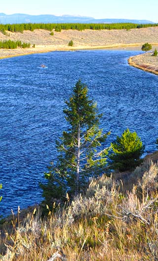 yellowstone river
