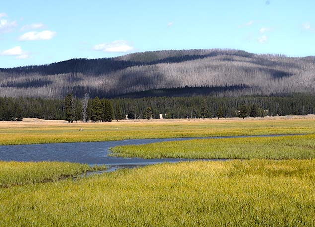 fire yellowstone