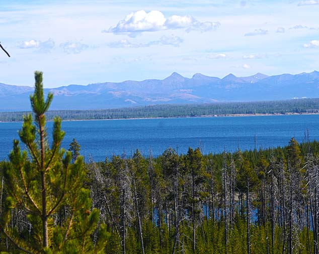 lake yellowstone