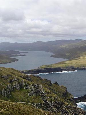 Carnley Harbour