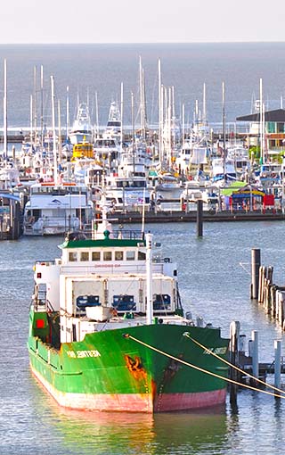 boat in harbor australia
