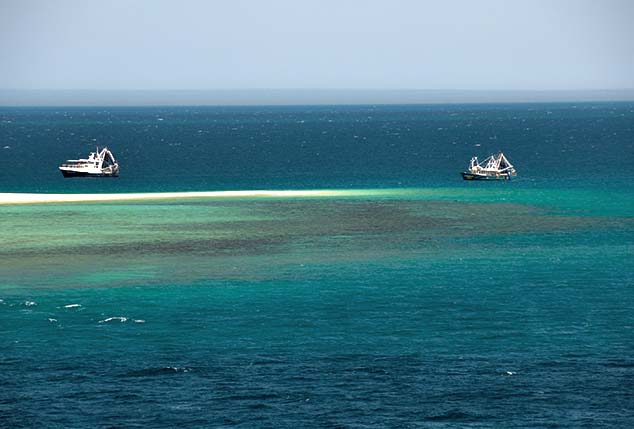 barrier reef australia