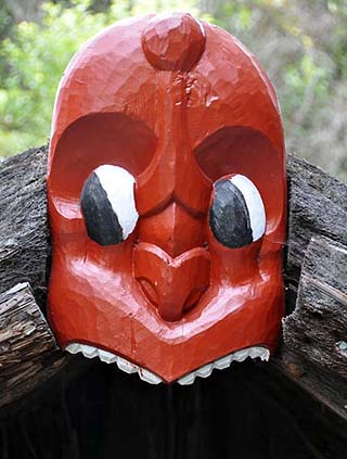 mask rotorua