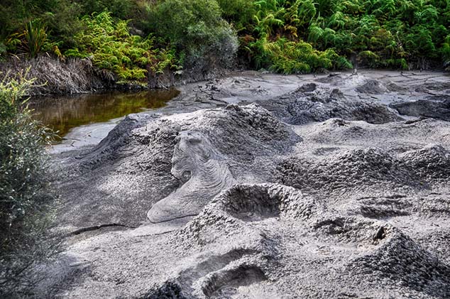 mud pool rotorua