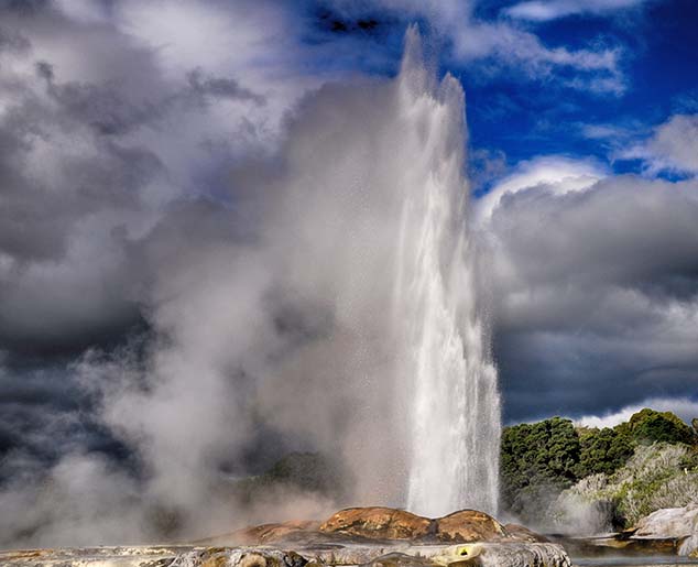 rotorua geyser