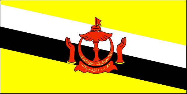 Brunei Flag and Description